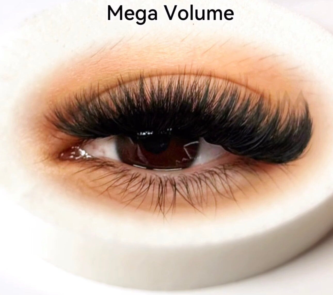 Professionele wimperextensions — close-up resultaat